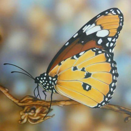 نقاشی هایپررئال پروانه تکنیک ایربراش